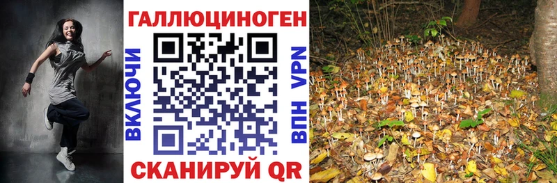 Галлюциногенные грибы Psilocybine cubensis  где продают   Певек 