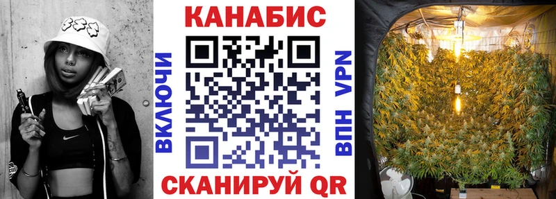 Бошки Шишки сатива  где продают наркотики  Певек 